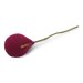 Cerise