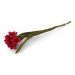 Cerise