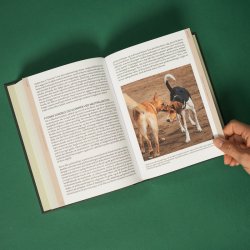 Bog: Din kompetente hund