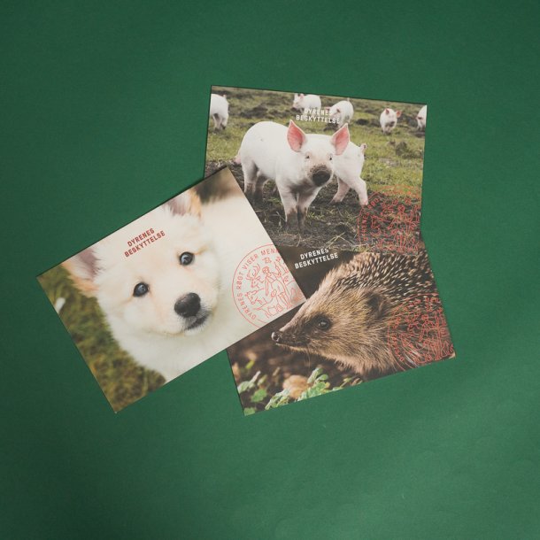 Kort - forskellige varianter