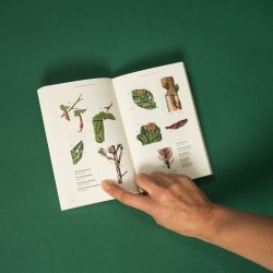 Bog: Hvad finder jeg p� stranden og i skoven