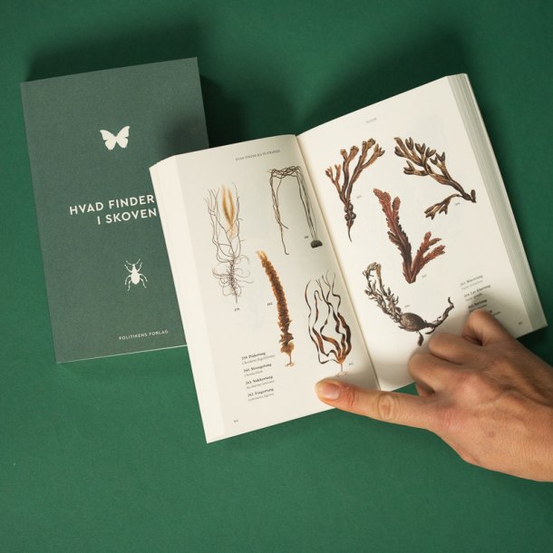 Bog: Hvad finder jeg p� stranden og i skoven