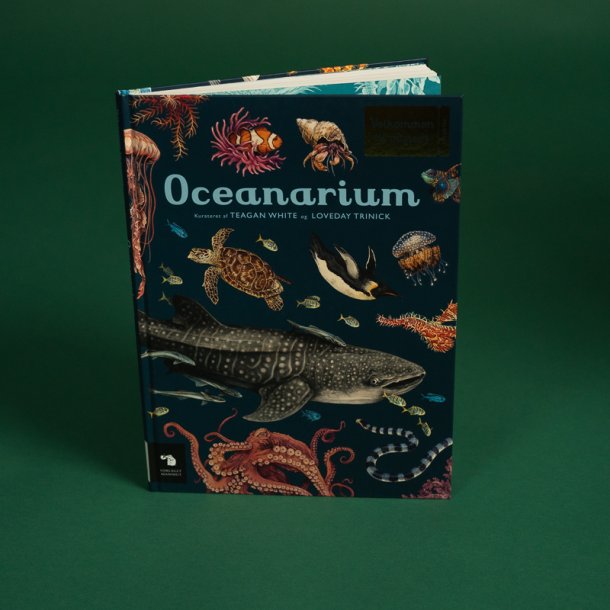 Bog: Oceanarium