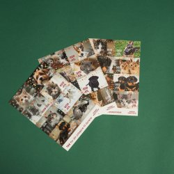 Til og fra kort - jul