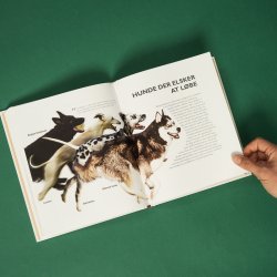 Bog: Vlg den rigtige hund