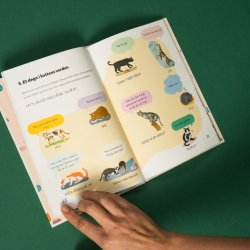 Bog: Mit frste kledyr