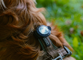 PLEJEPRODUKTER OG TILBEHØR