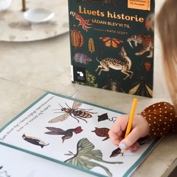 Bog: Animalium aktivitetsbog