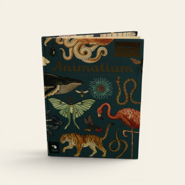Bog: Animalium