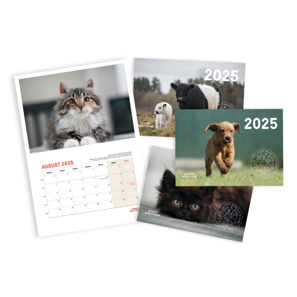 Kalender 2025 - A5