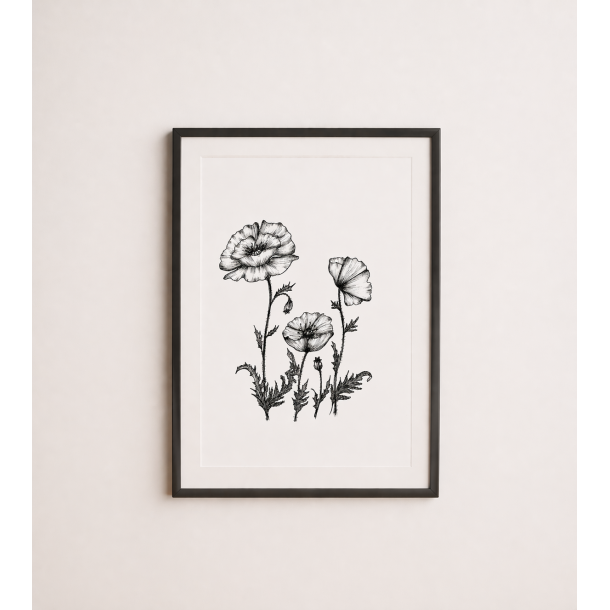 Valmue plakat