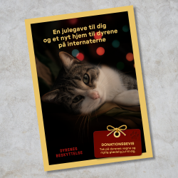 Donationsbevis 250 kr. - hjlp til dyrene p internaterne