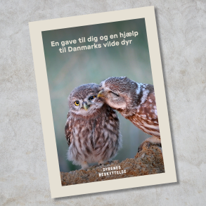 Donationsbevis 250 kr. - hj�lp til Danmarks vilde dyr