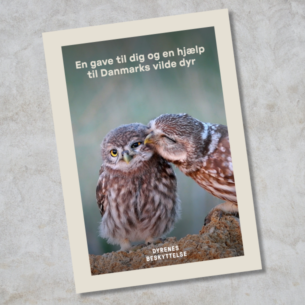 Donationsbevis 350 kr. - hj�lp til Danmarks vilde dyr