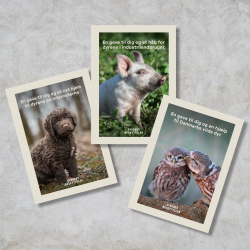 Donationsbevis 500 kr. - hj�lp til dyrene i industrilandbruget