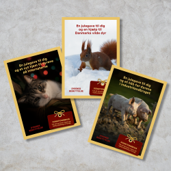 Donationsbevis 150 kr. - hjlp til dyrene p internaterne