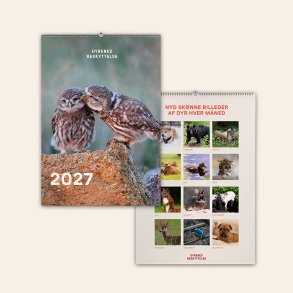 Kalender 2027 - A3