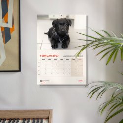 Kalender 2027 - A4