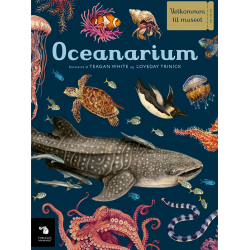 Bog: Oceanarium
