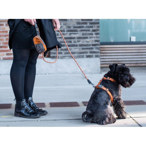 Linetaske til hundeposer