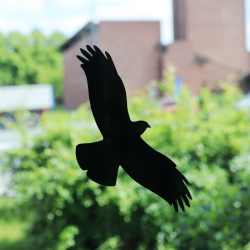 Klisterm�rke - Rovfuglesilhuet