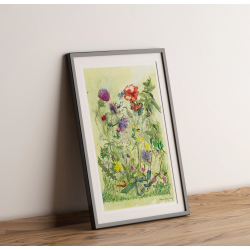 Srtryk: Akvarel - Vild Have