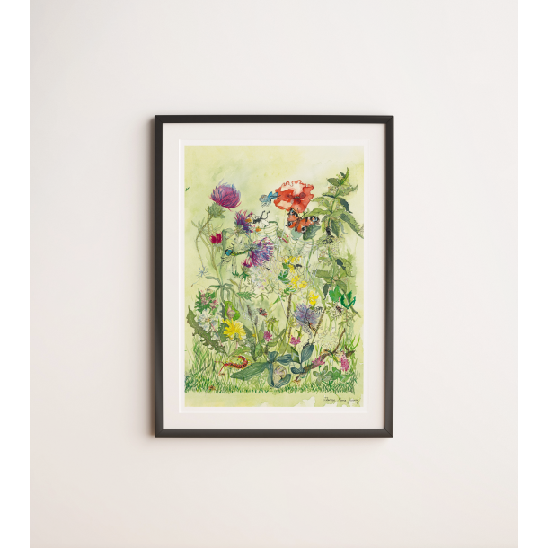 Srtryk: Akvarel - Vild Have