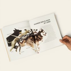Bog: V�lg den rigtige hund