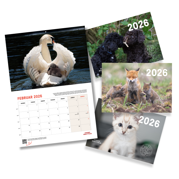 Kalender 2026 - A5