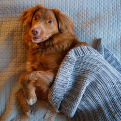 Mindful Little Paws - Beroligende tppe