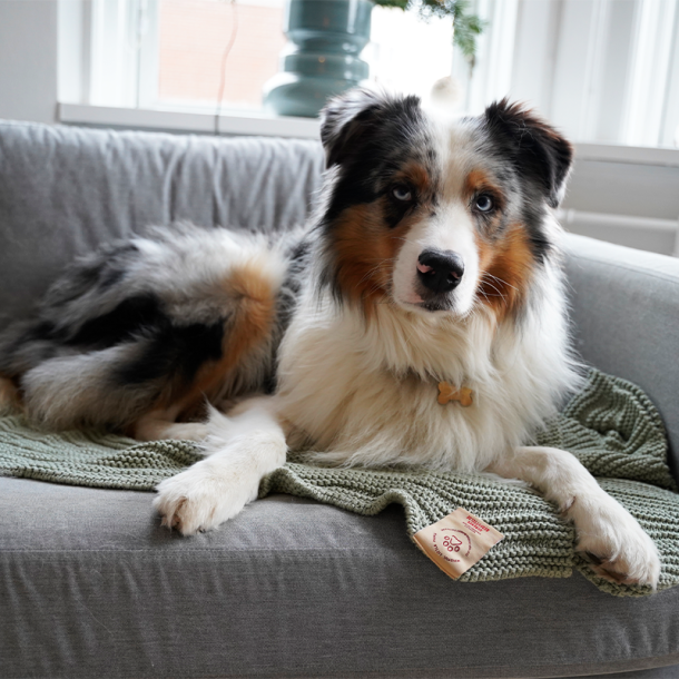 Mindful Little Paws - Beroligende tppe