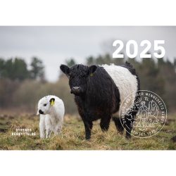 Kalender 2025 - A4