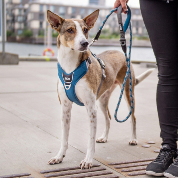 Sele Comfort Walk Pro (flere farver)