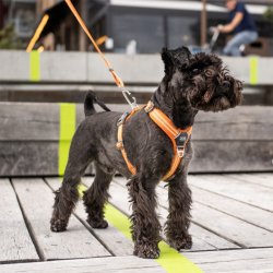 Sele Comfort Walk Air (flere farver)