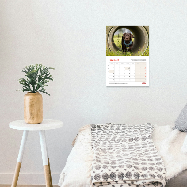 Kalender 2025 - A5