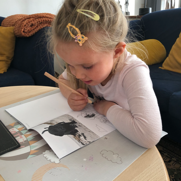 Malebog med dyremotiver