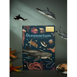 Bog: Oceanarium