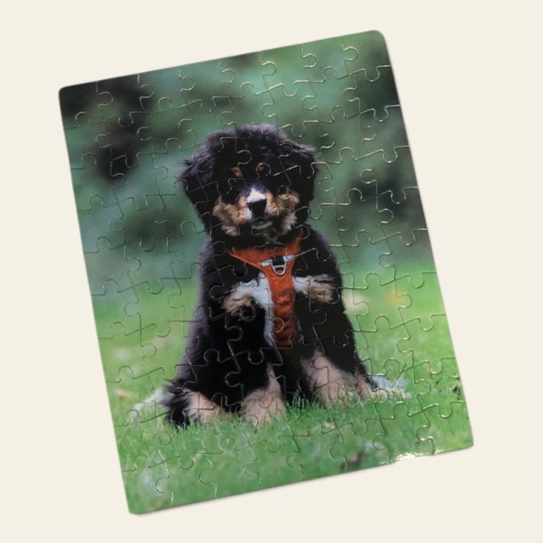 Puslespil m. hund eller kat