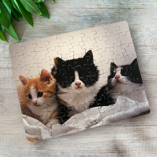 Puslespil m. hund eller kat