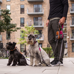 Line Urban Trail (flere farver)